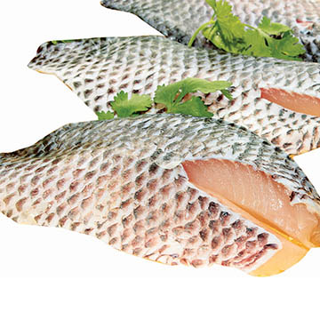 FILETE DE TILAPIA CON PIEL 5A7 ONZ LB FILETE DE TILAPIA CON PIEL 5A7 ONZ LB