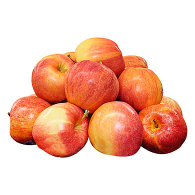 MANZANA GALA MEDIANA LIBRA MANZANA GALA MEDIANA LIBRA