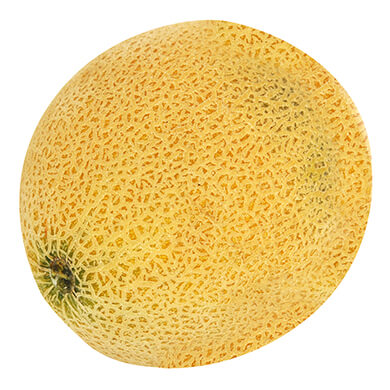 MELON CANTALALUPE KG MELON CANTALALUPE KG