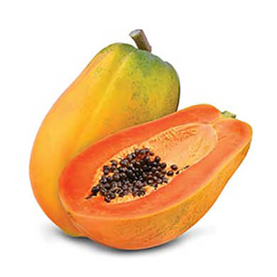 PAPAYA TAINUNG LIBRA PAPAYA TAINUNG LIBRA