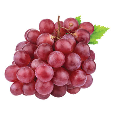 UVA RED GLOBE LIBRA UVA RED GLOBE LIBRA
