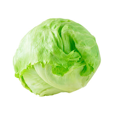 LECHUGA ARREPOLLADA LIBRA LECHUGA ARREPOLLADA LIBRA