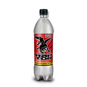 BEBIDA RAPTOR ENERGIZANTE 500 ML BEBIDA RAPTOR ENERGIZANTE 500 ML