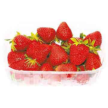 FRESA BANDEJA UND FRESA BANDEJA UND