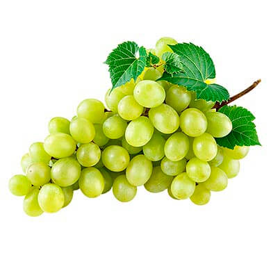UVA VERDE EMPACADO 500 GRS UVA VERDE EMPACADO 500 GRS