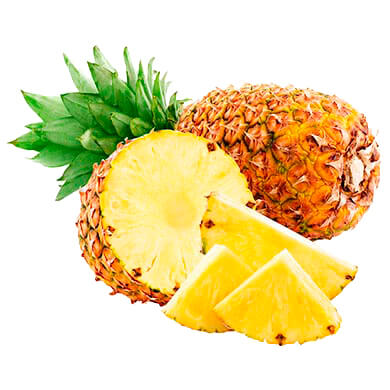 PINA DORADA UNIDAD PINA DORADA UNIDAD