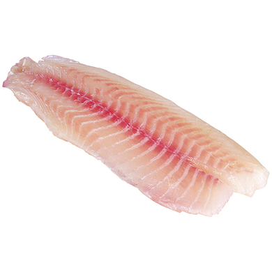 BOLSA FILET TILAPIA CONGELADA 454GRS BOLSA FILET TILAPIA CONGELADA 454GRS