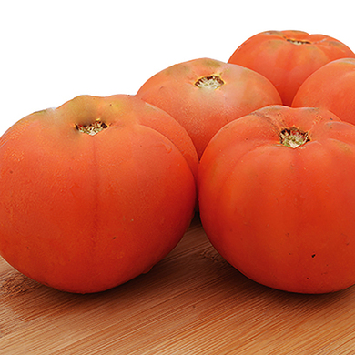 TOMATE SELECCIîN ESPECIAL KG TOMATE SELECCIîN ESPECIAL KG
