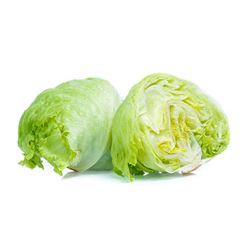 LECHUGA LIBRA LECHUGA LIBRA