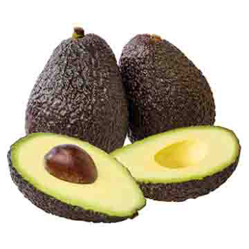 AGUACATE HASS LIBRA AGUACATE HASS LIBRA