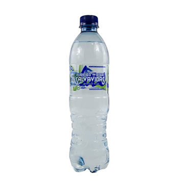 AGUA PURA SALVAVIDAS TAPA ROSCA 600ML AGUA PURA SALVAVIDAS TAPA ROSCA 600ML